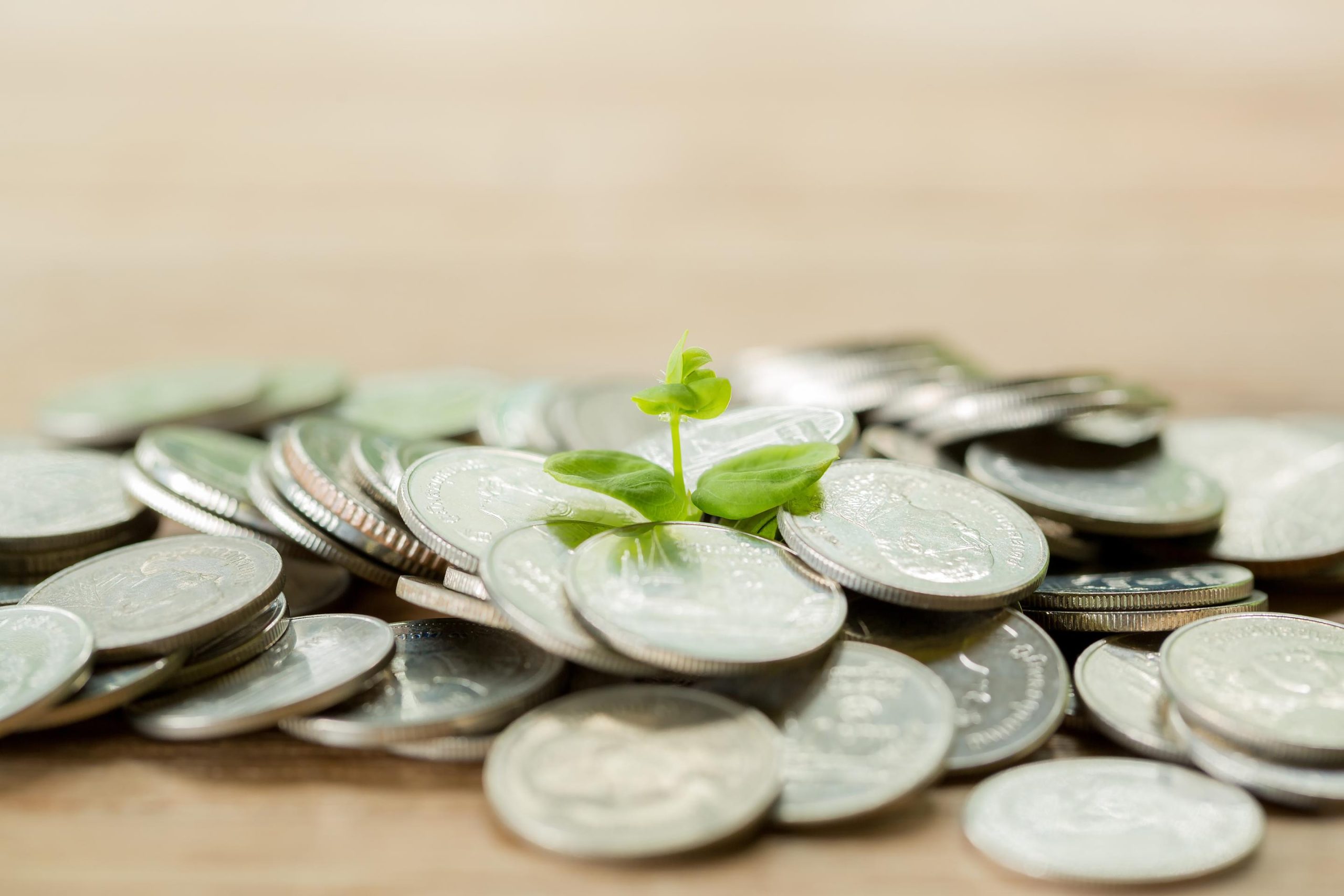 Perspectives de la finance durable au Maroc